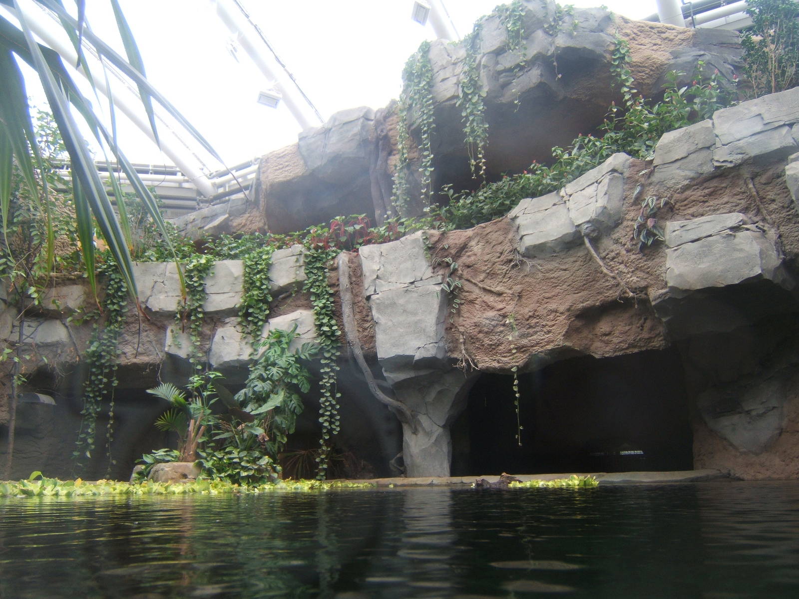 View of False Gharial exhibit