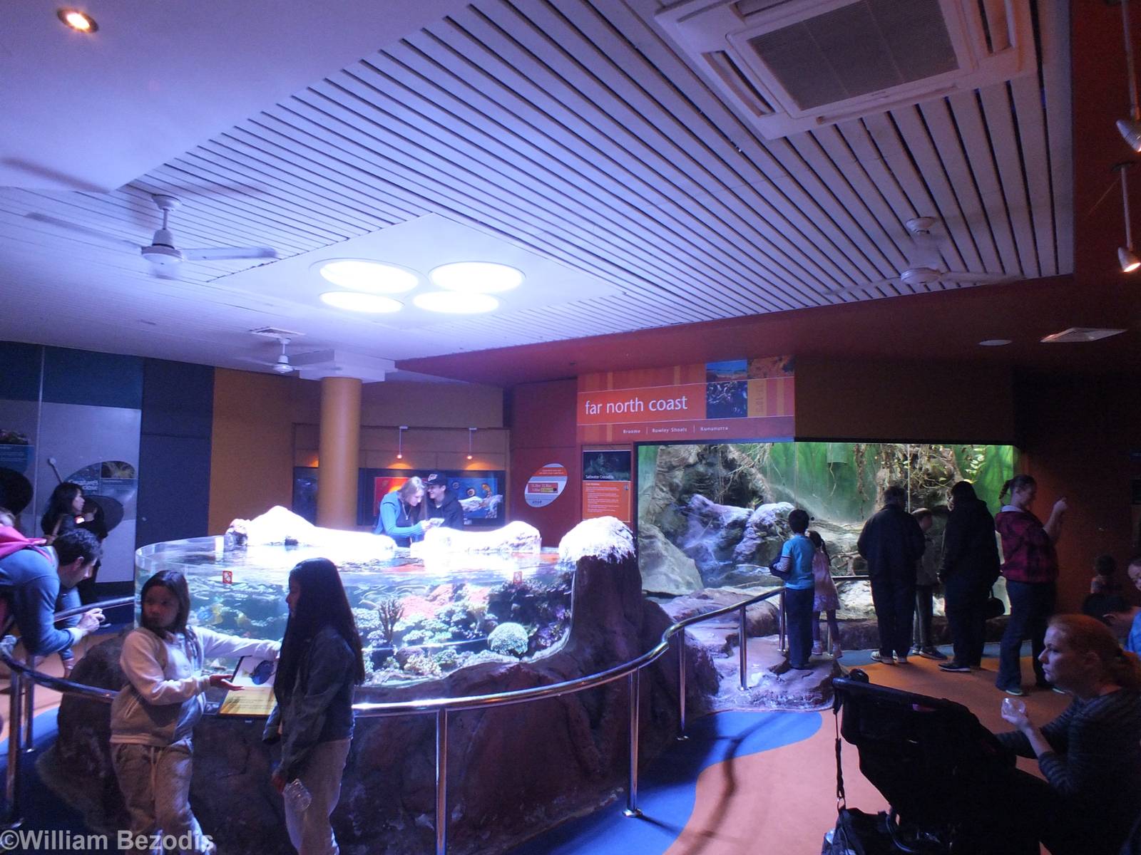 View of Far North Coast Section