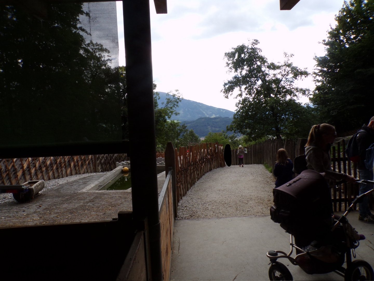 View of farm area (chickens can freeroam here) 9.7.25