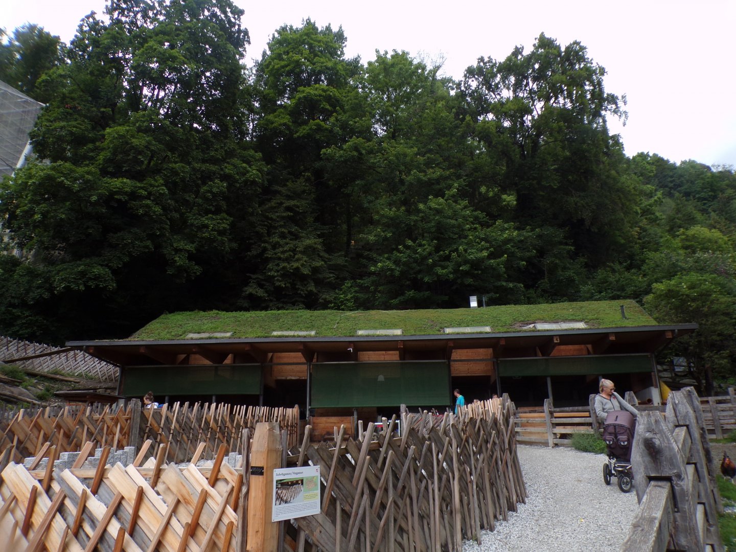 View of farm barn (goats can climb on the roof!) 9.7.25