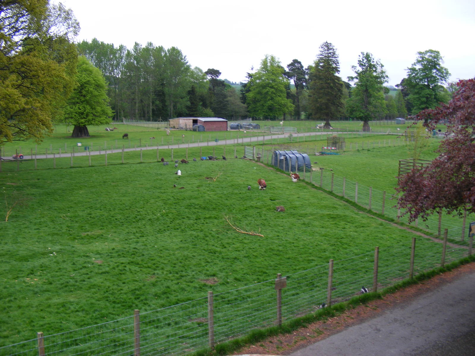 View of farm paddocks at Blair Drummond Safari Park, 19 May 2010