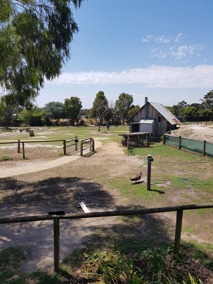 View of farmyard/kangaroo walk thru area