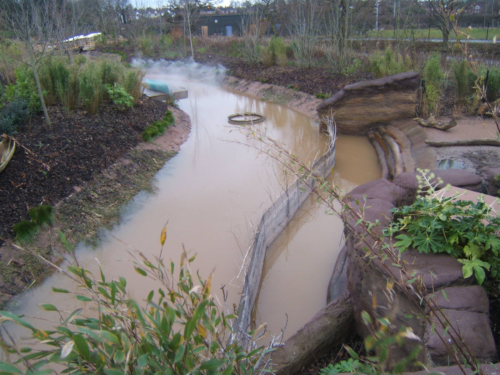 View of fence put in to stop the Visayan Warty Pigs going for a swim round