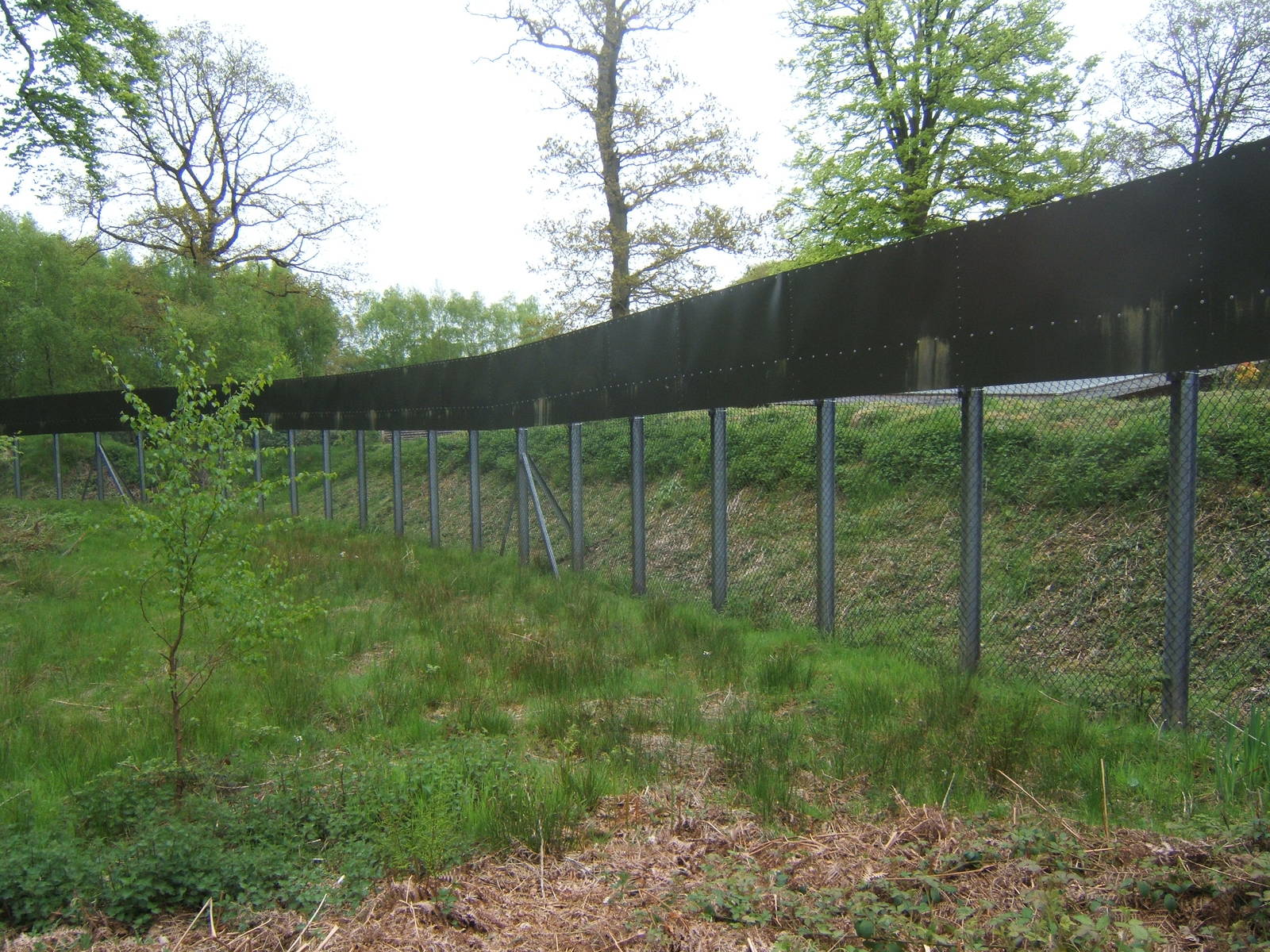 View of fence