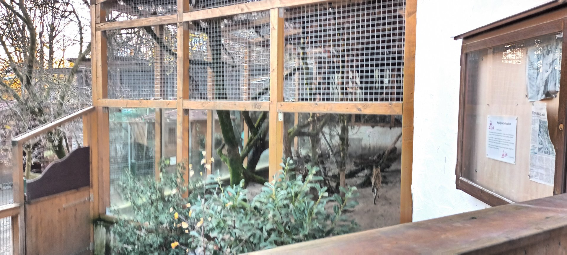 View of Ferret Enclosure below and Serval Enclosure behind