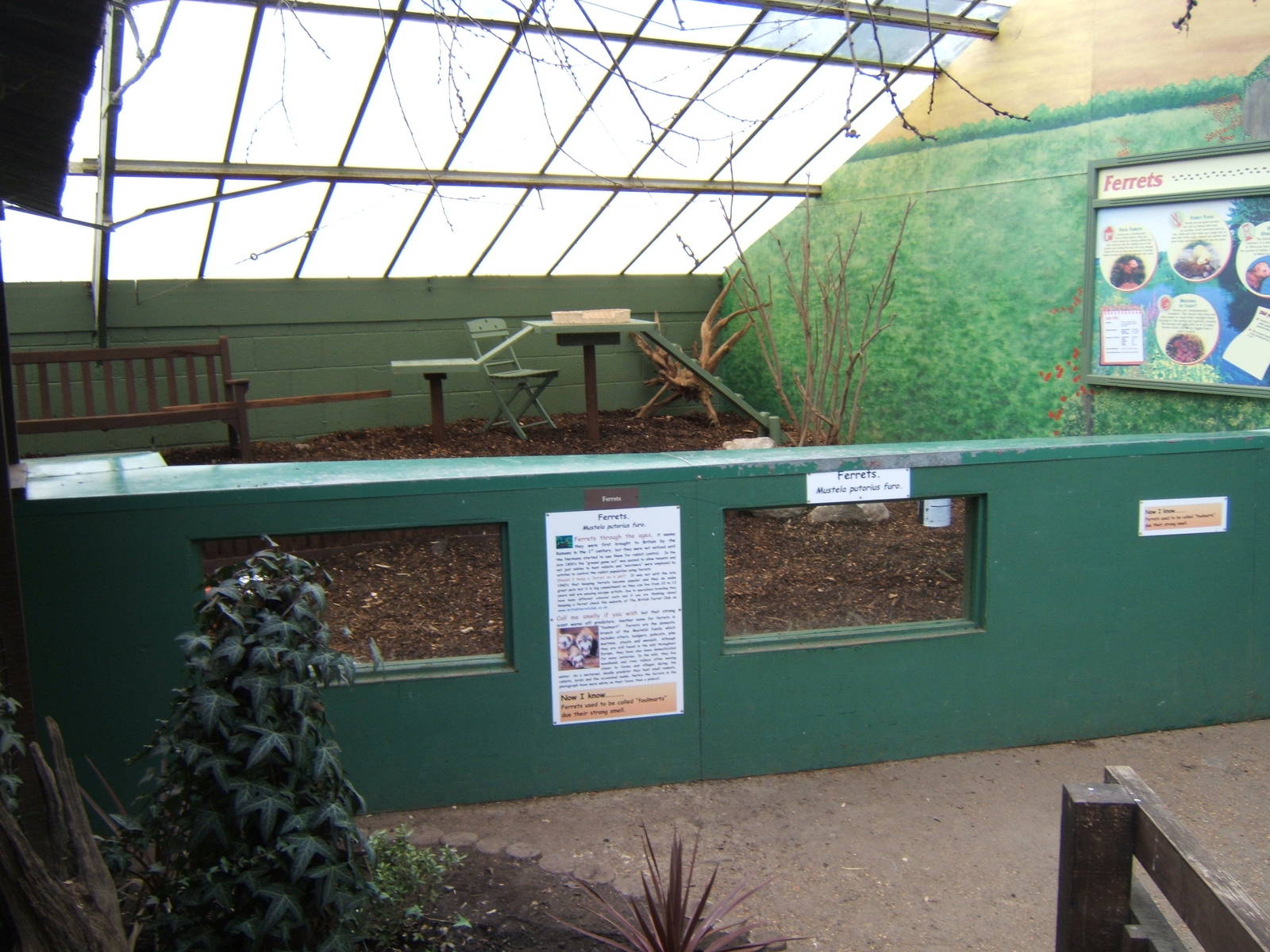 View of Ferret enclosure