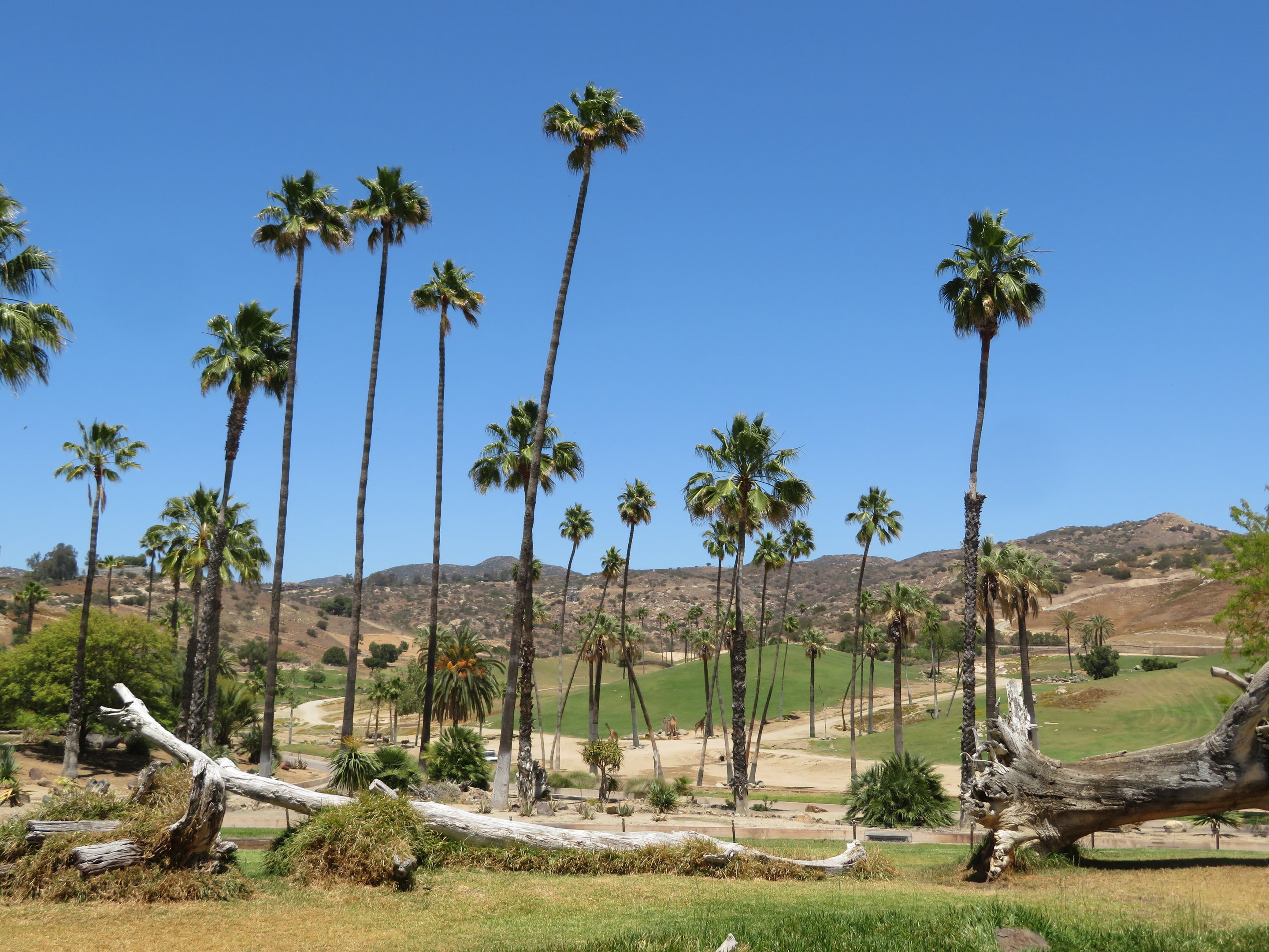 View of Field Exhibits