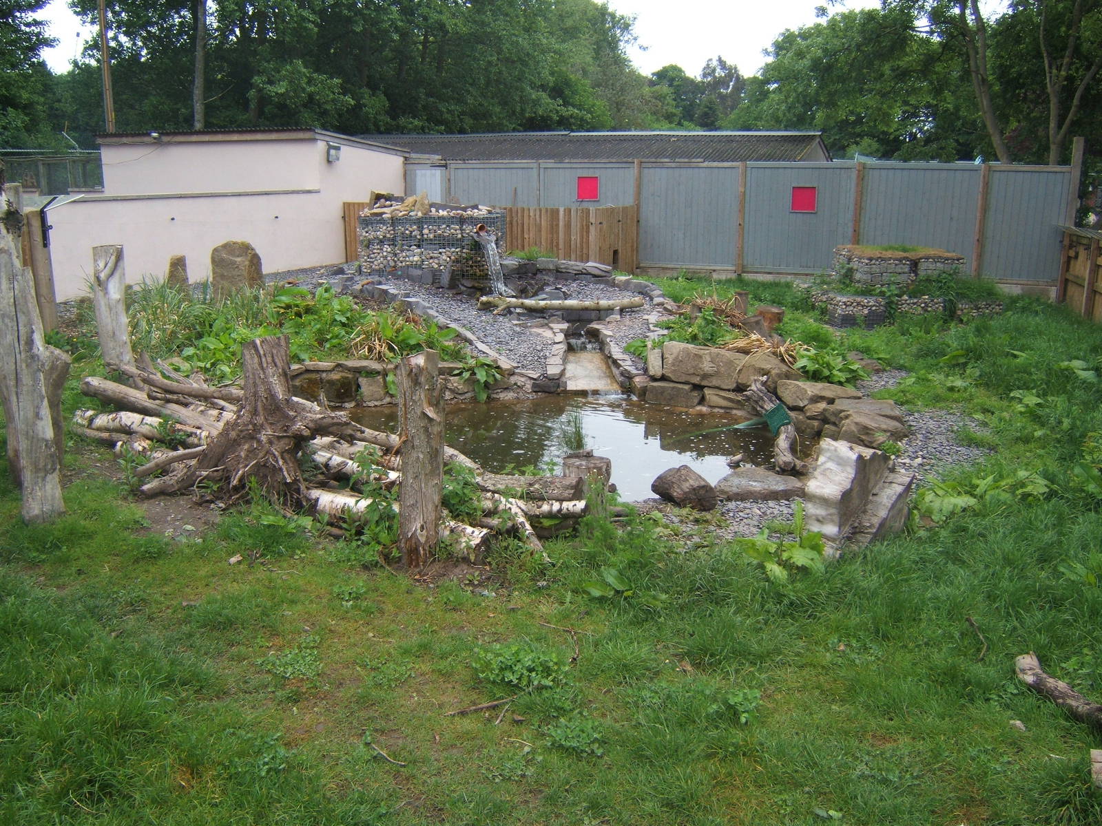 View of finished Asian Short-clawed Otter enclosure