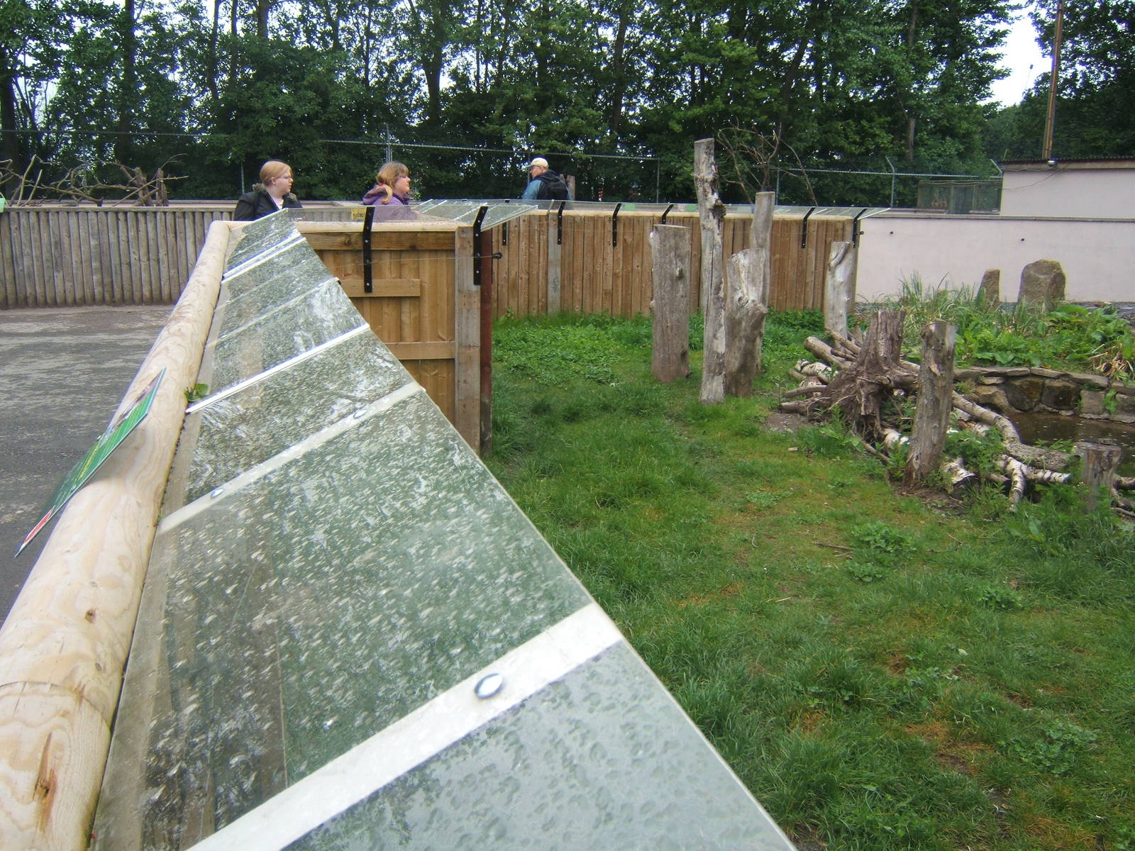 View of finished Asian Short-clawed Otter enclosure