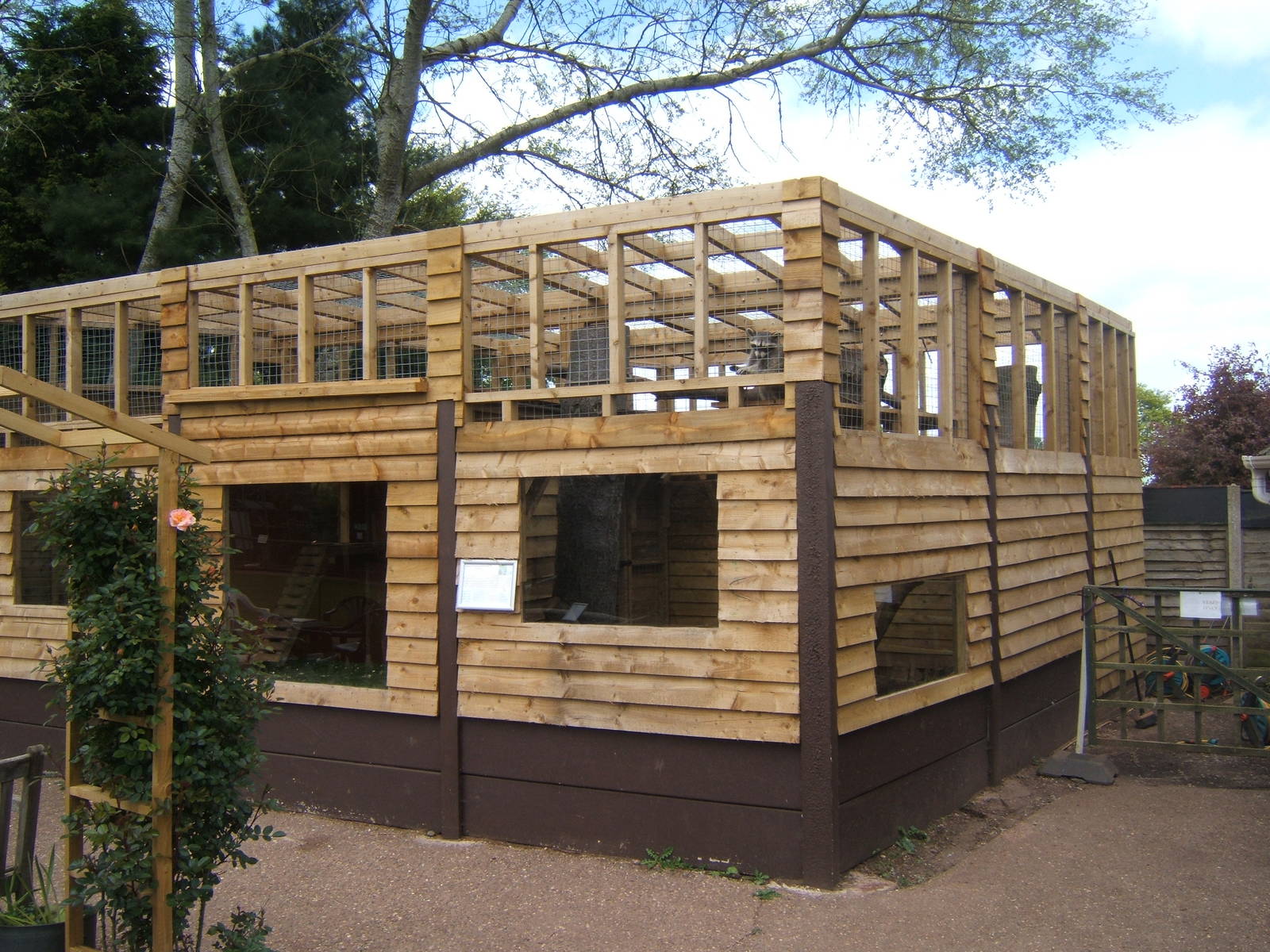 View of finished Raccoon enclosure