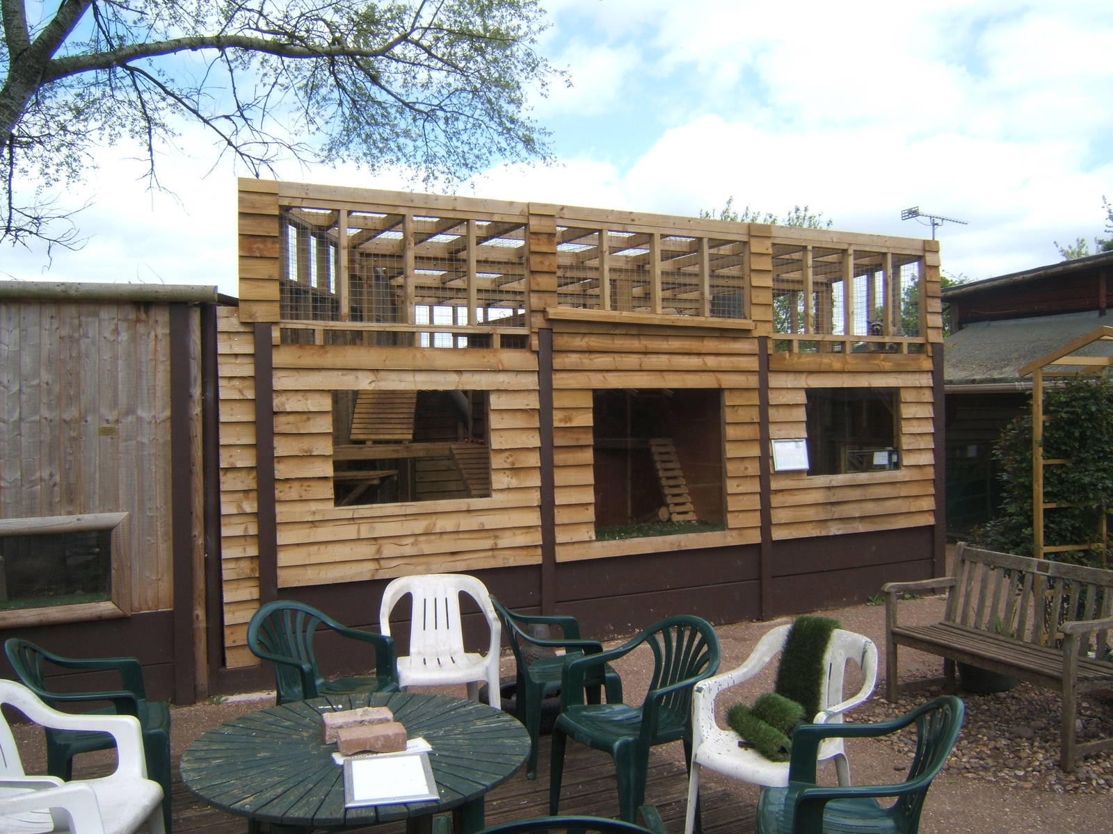 View of finished Raccoon enclosure