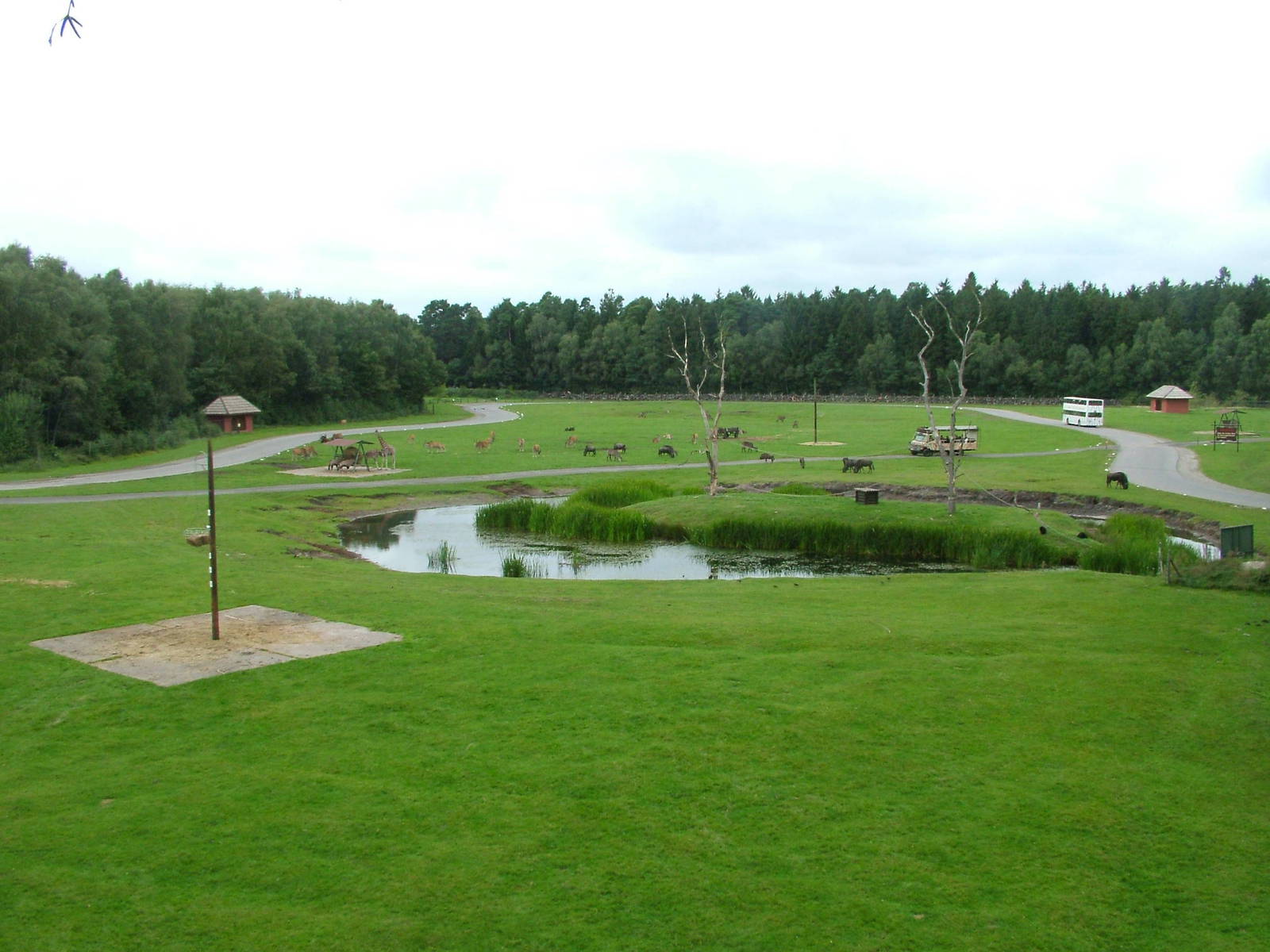 View of first African reserve at Serengetipark Hodenhagen