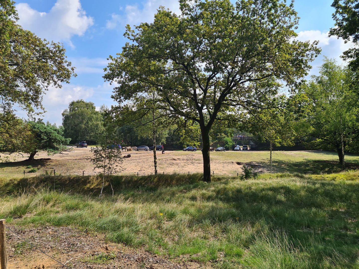 View of first big Savannah paddock