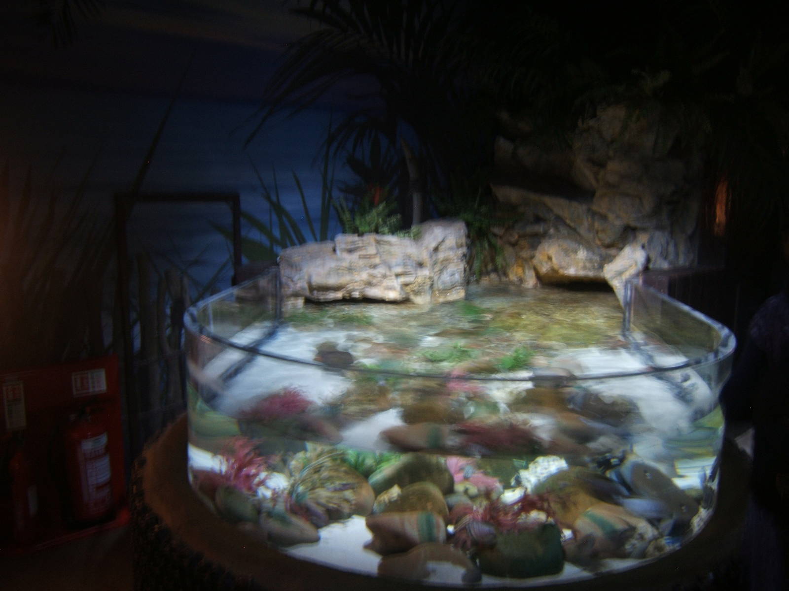 View of first exhibit