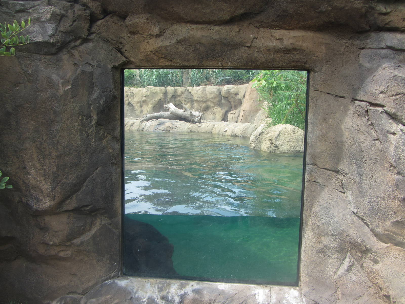 View of First Viewing Window