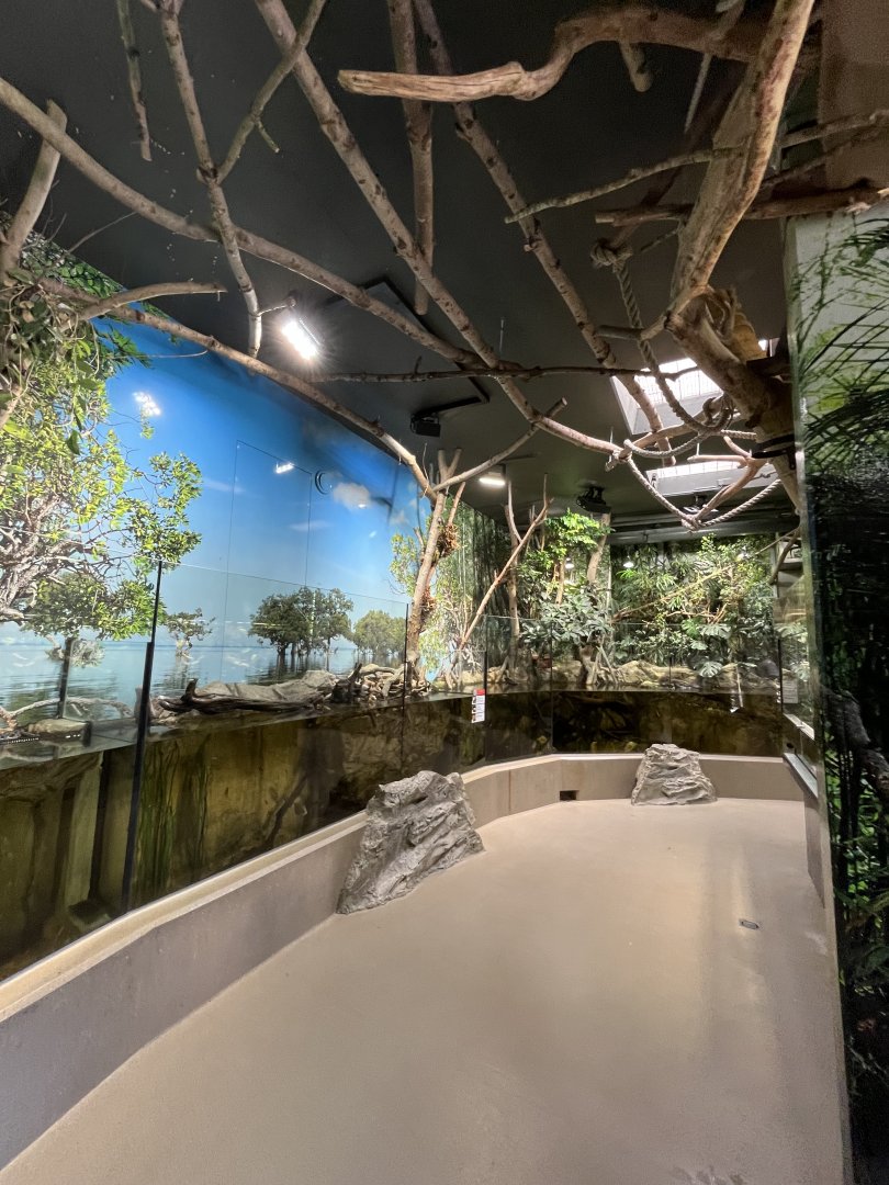 View of fish exhibits and sloth climbing frames 13.7.25