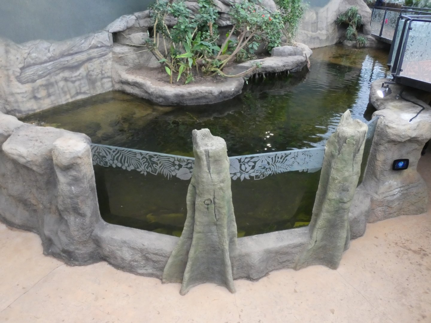 View of Fish tank and Pygmy Marmoset island