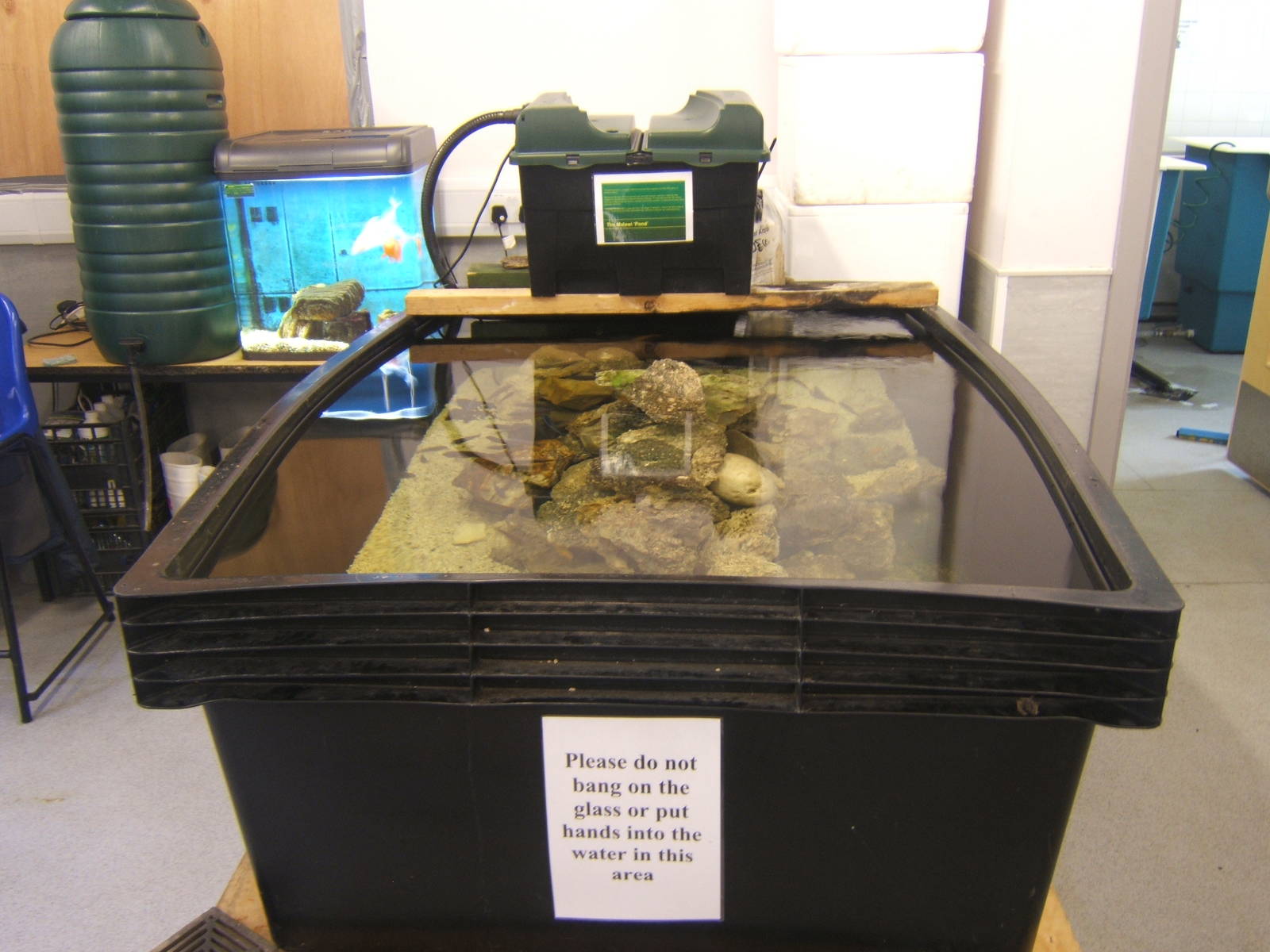 View of Fish Tank in the old Aquarium