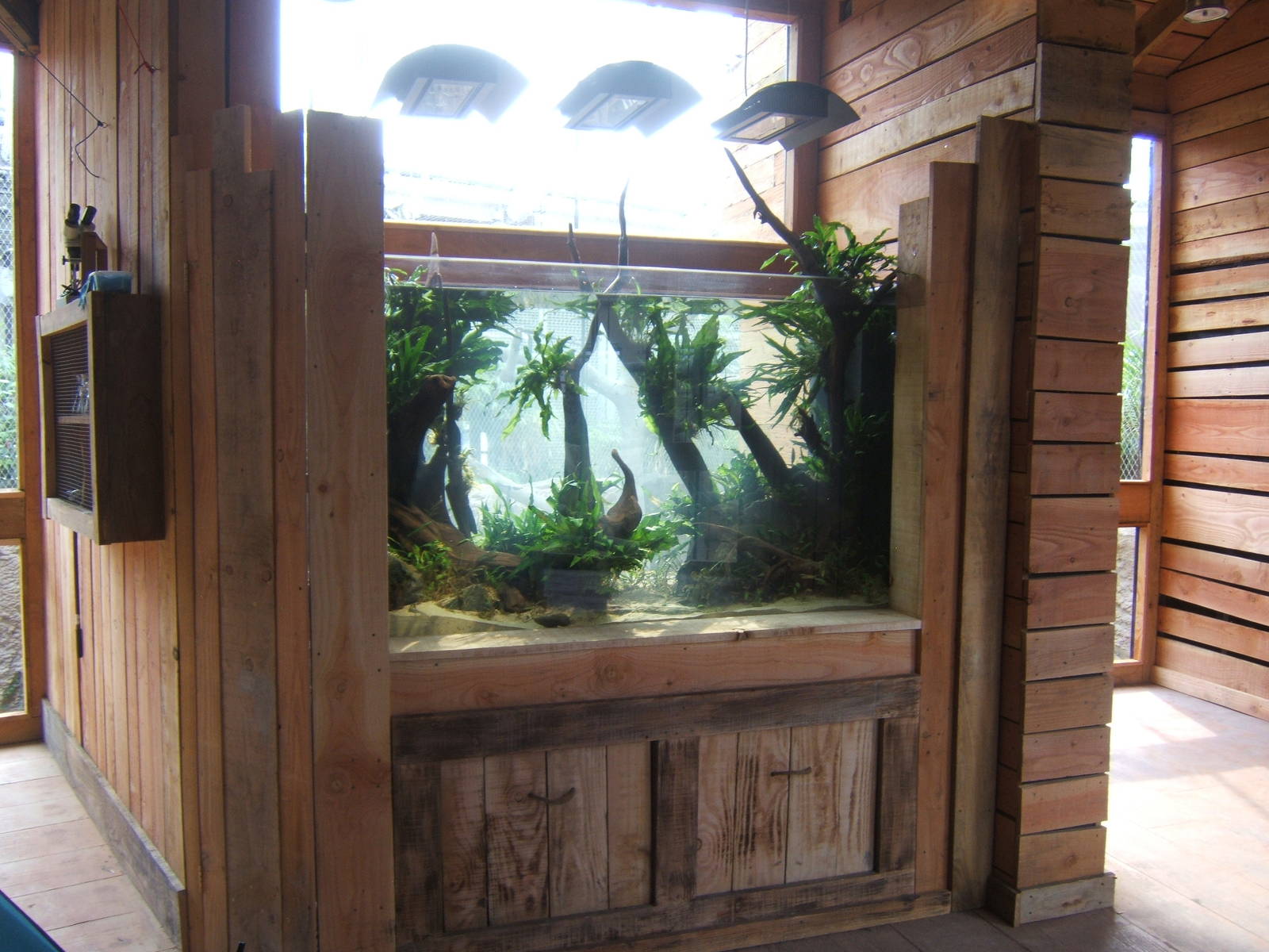 View of fish tank waiting stocking