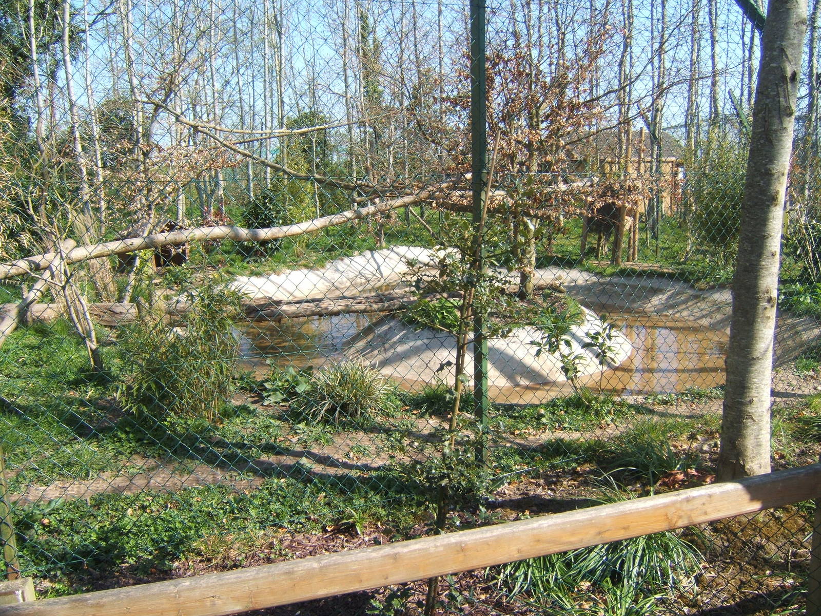 View of Fishing Cat enclosure