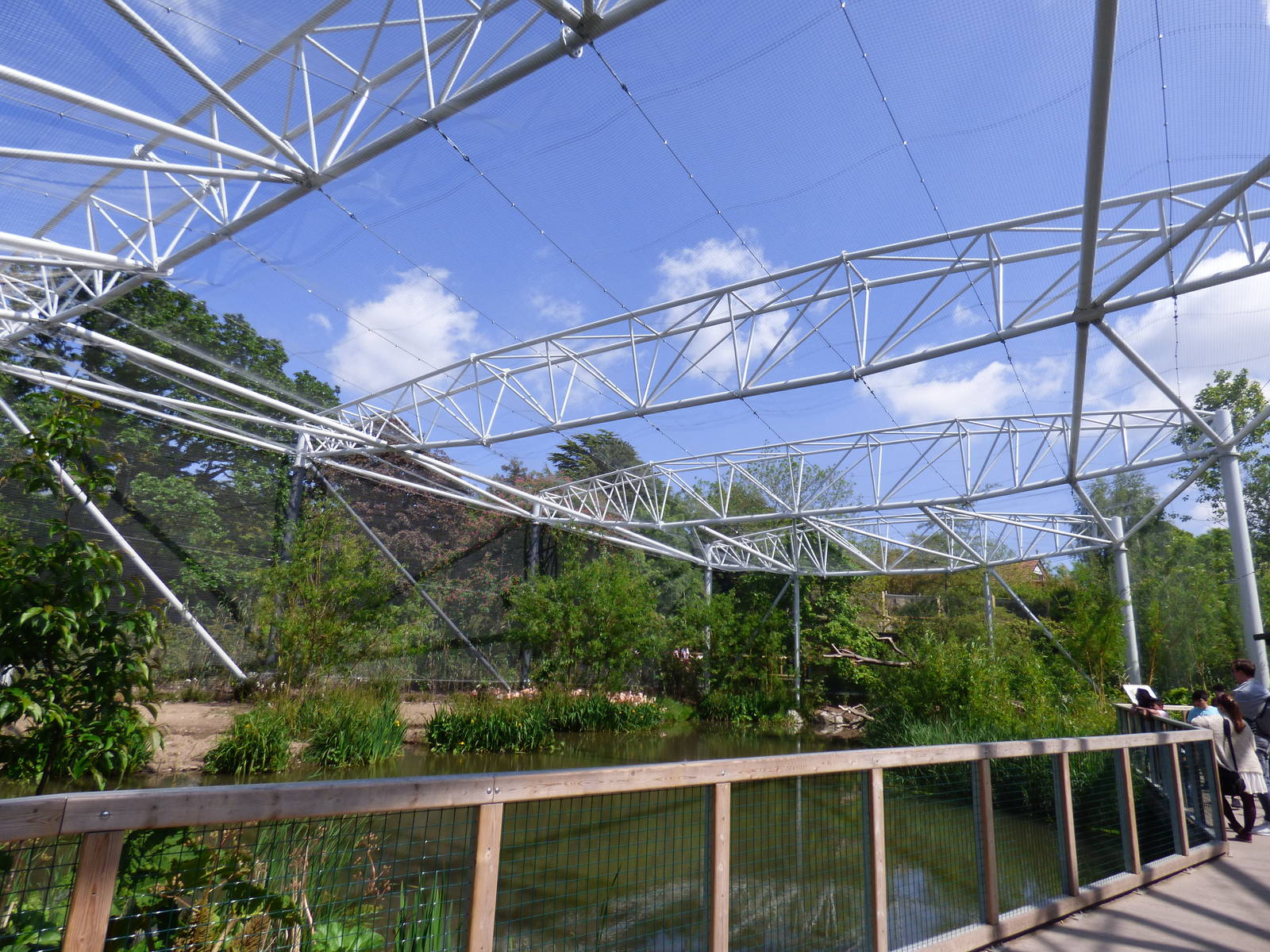 View of Flamingo Enclosure