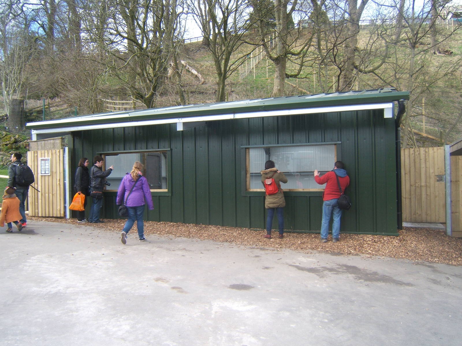 View of Flamingo Falls