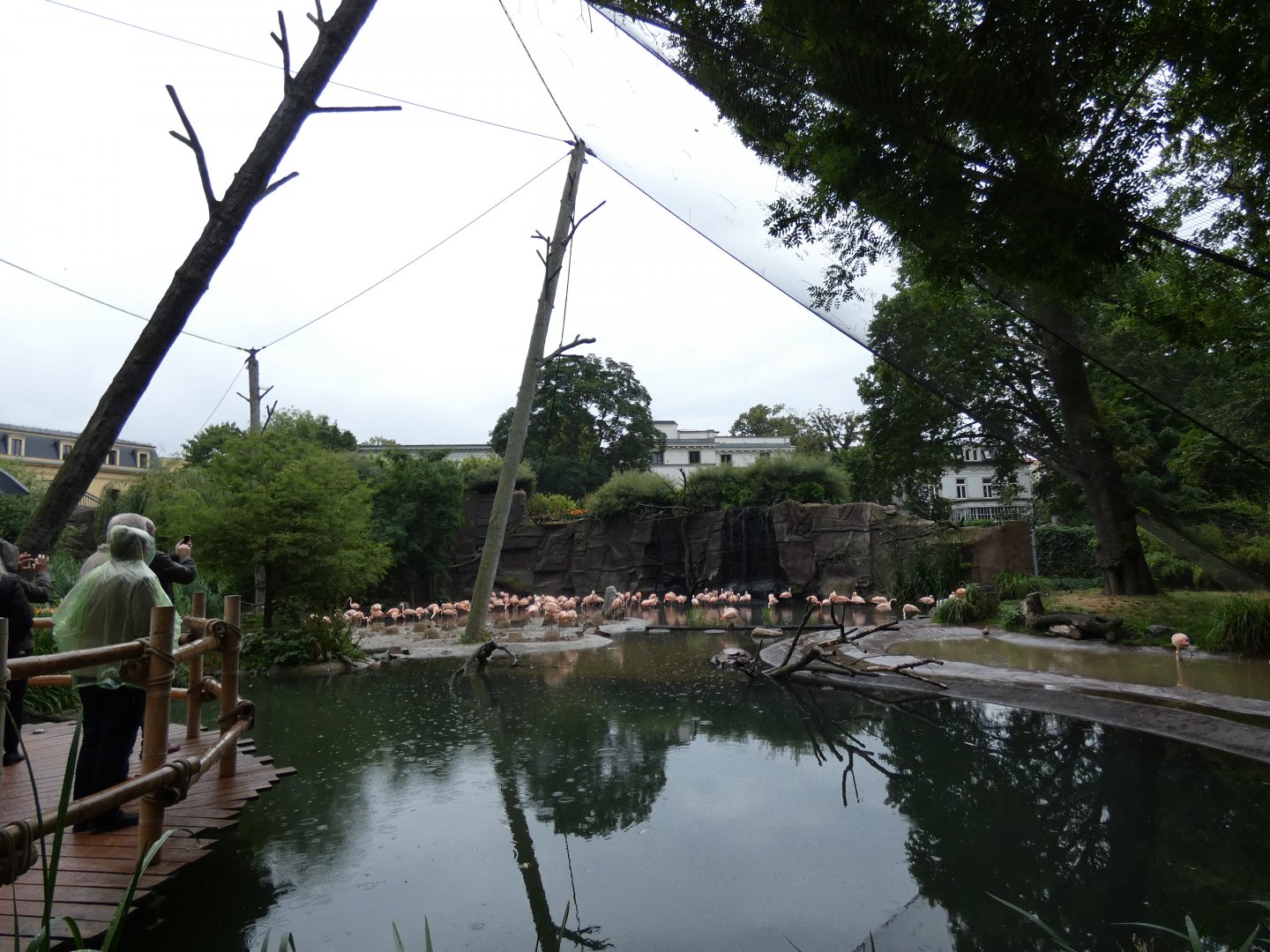 View of Flamingo Lagoon