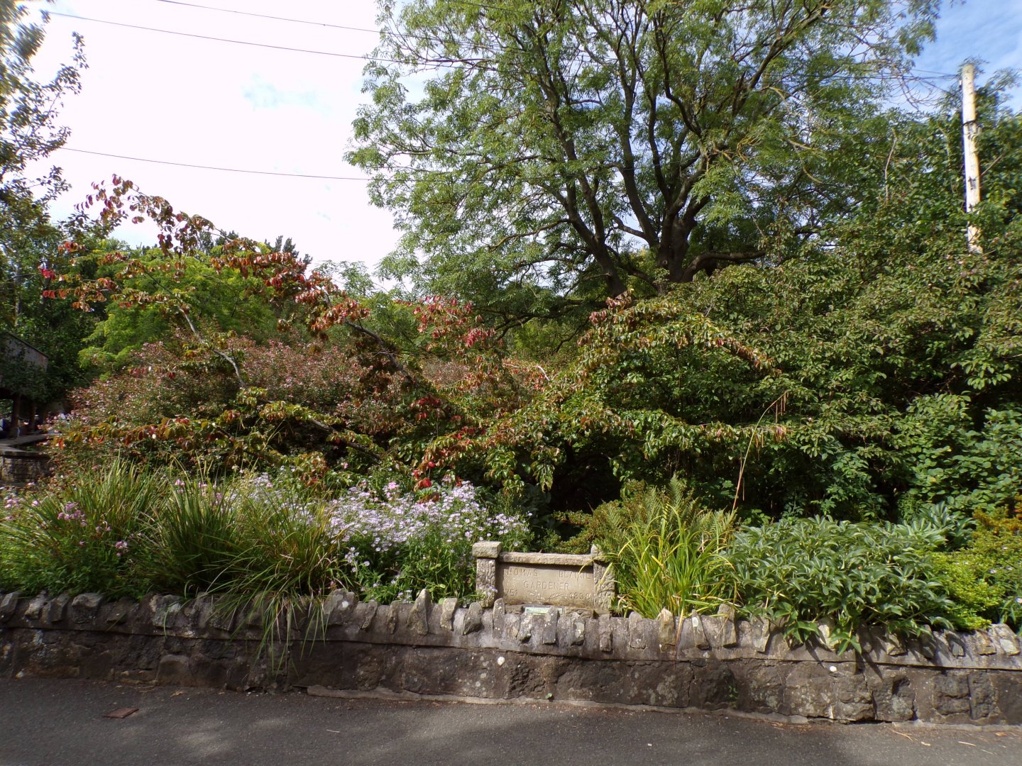 View of flowerbeds in zoo 14.8.23