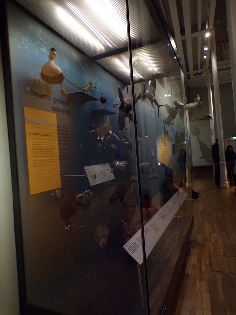 View of flying animal exhibit 30.12.22