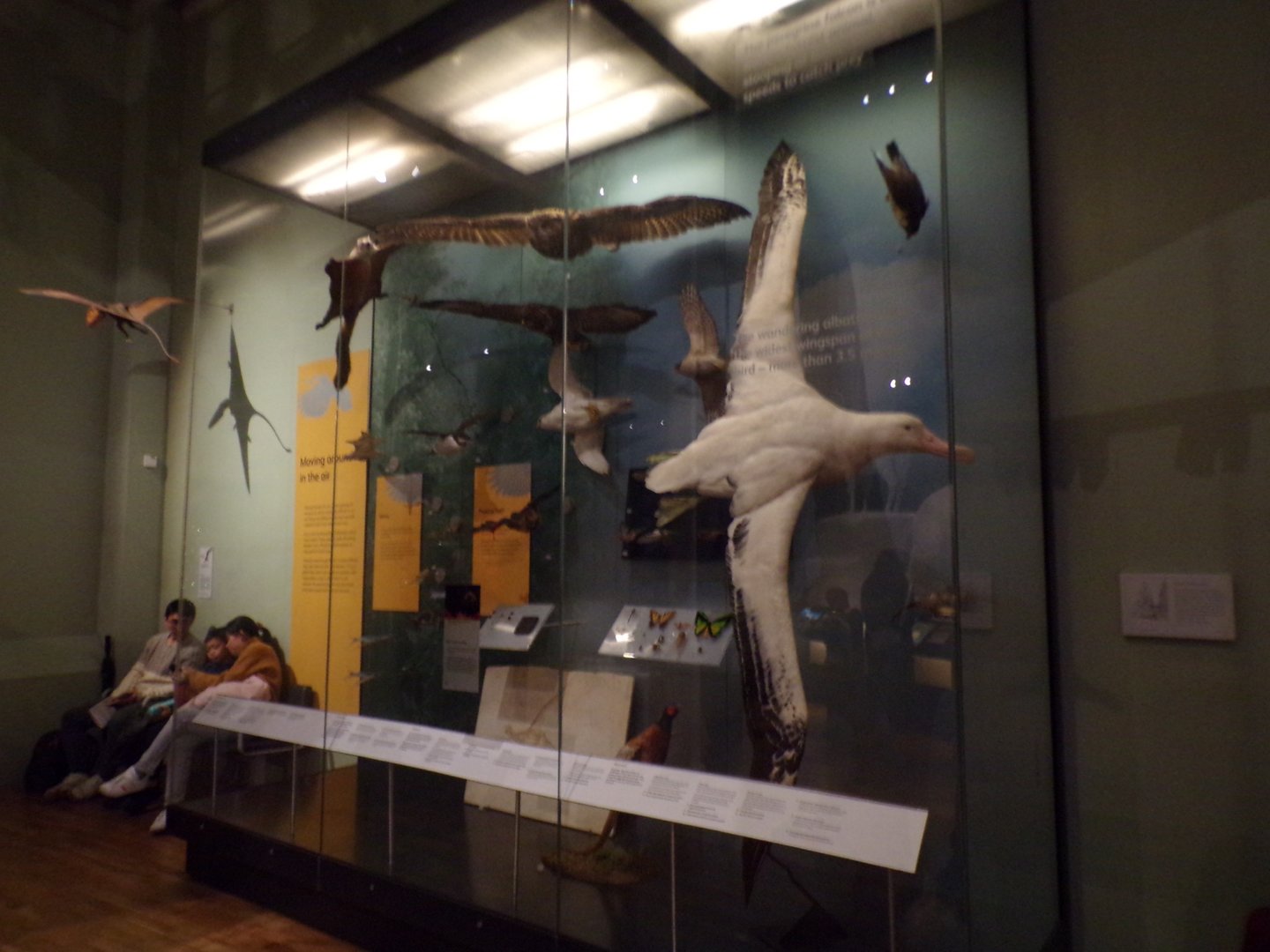 View of flying animal exhibit 30.12.22