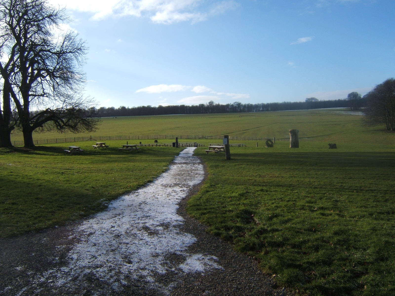 View of Flying arena