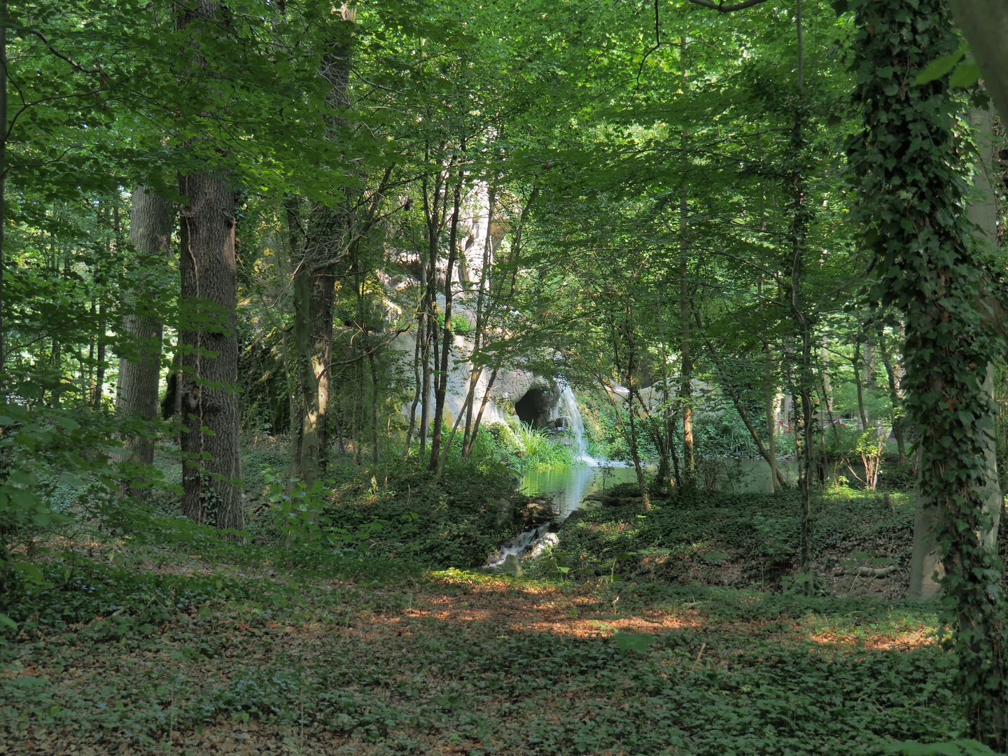 View of forest with pool (Aug 28th, 2018)