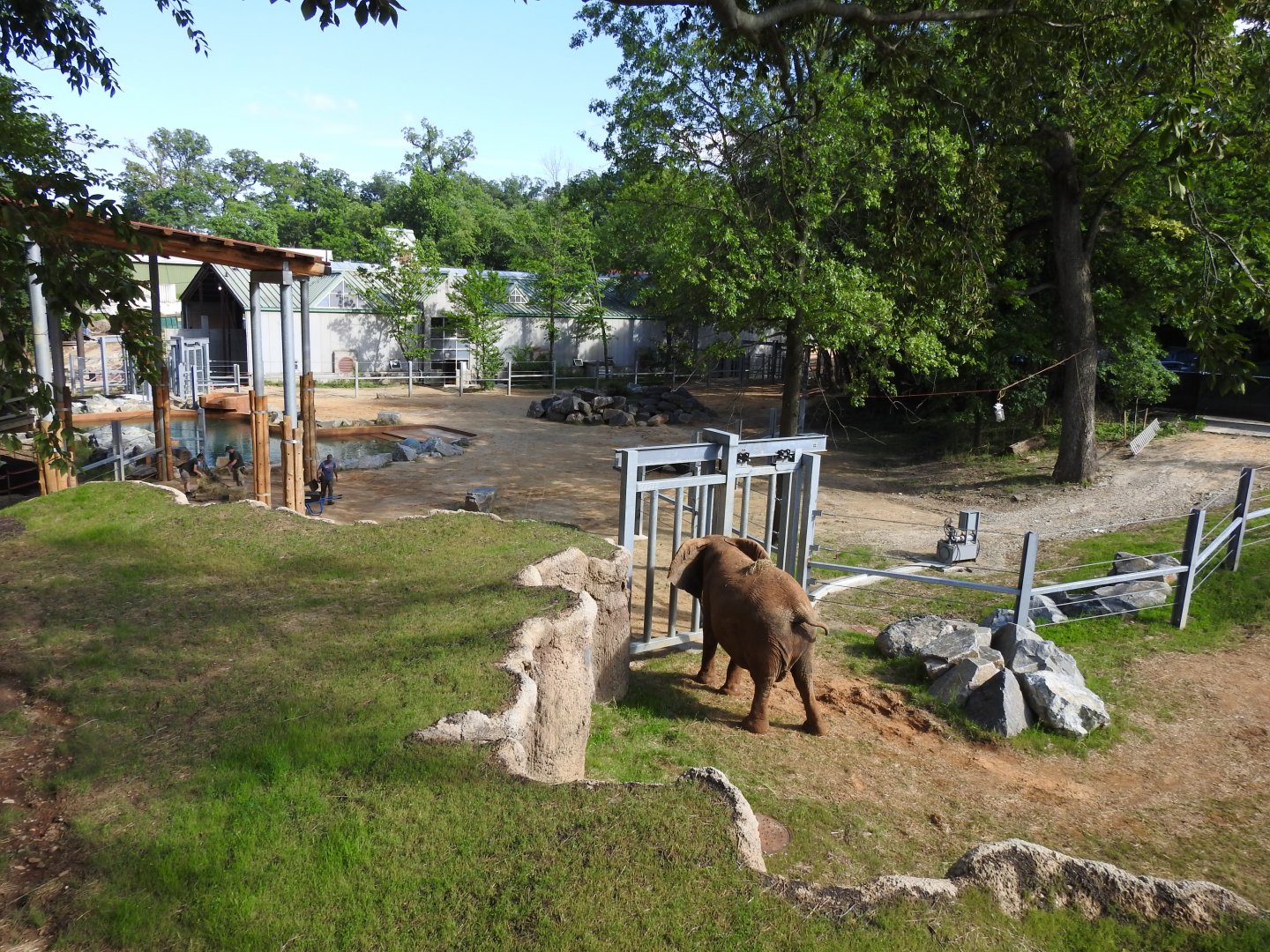 View of Formal and Transitional Elephant Yards - June 2019