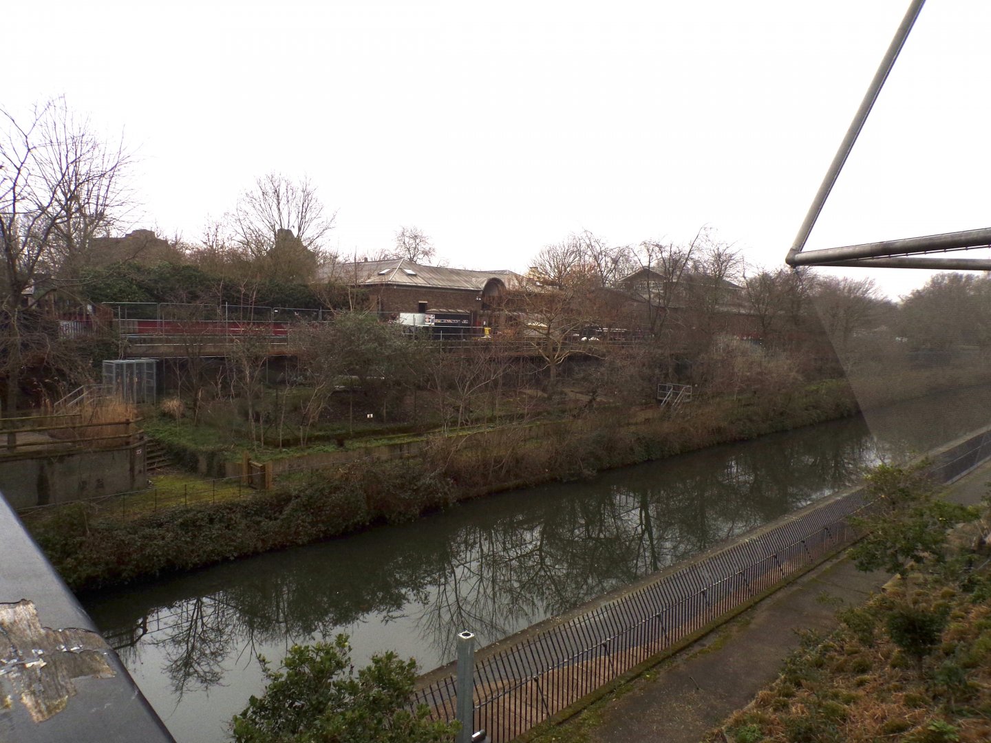 View of former African wild dog enclosure from across the bridge 11.2.25