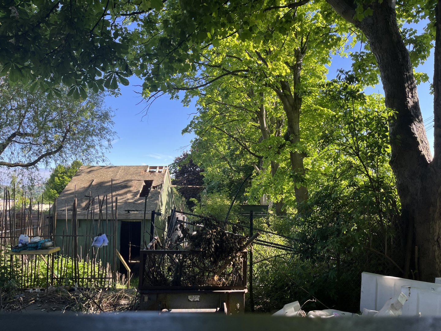 View of former hoofstock enclosures 20.5.24