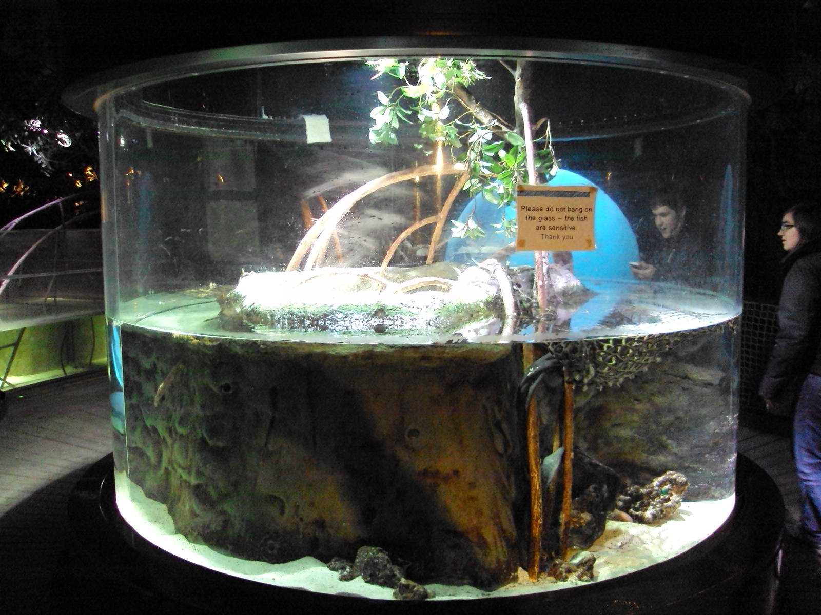 View of Four-eyed Fish Tank