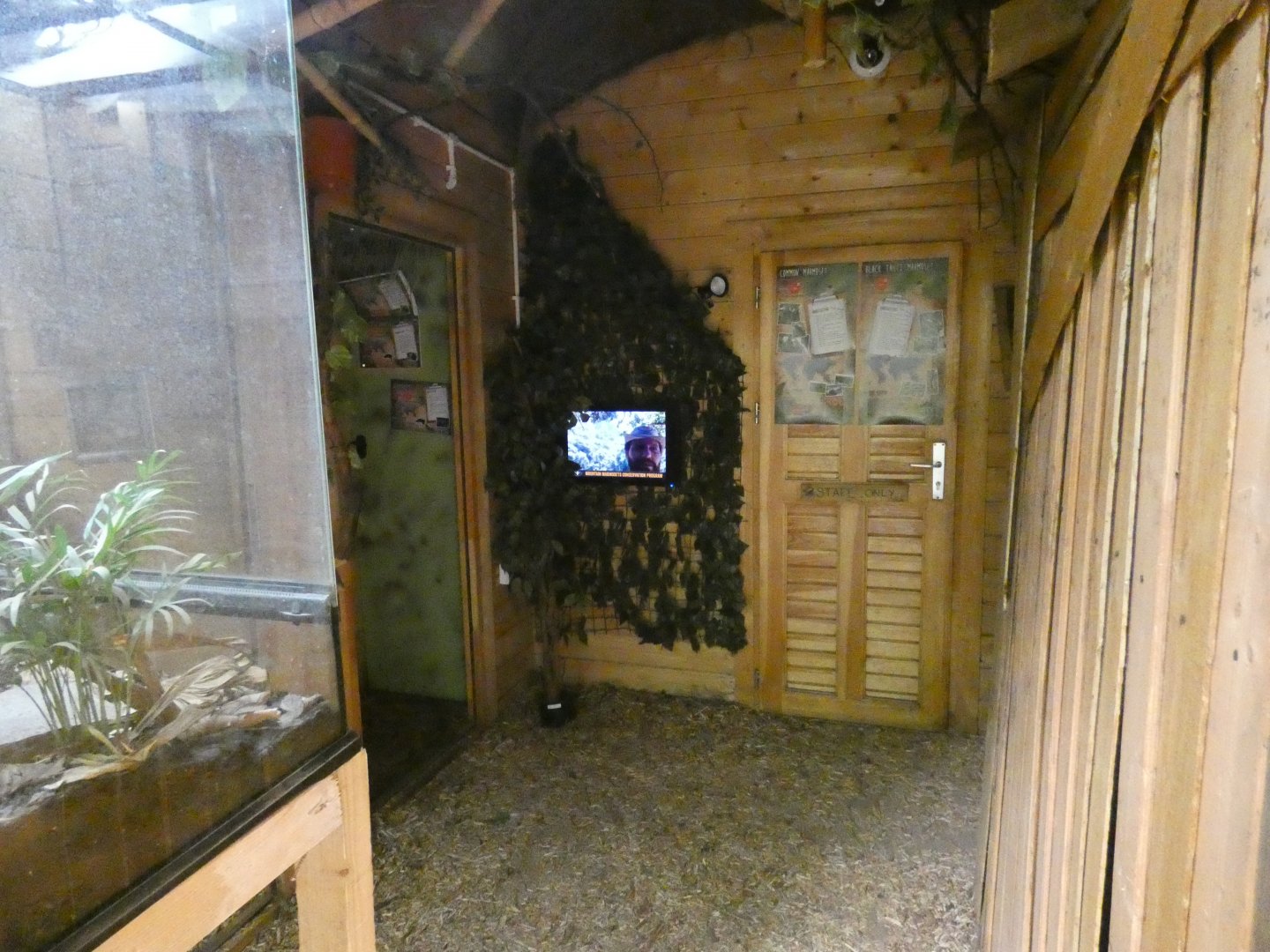 View of 'Fragile Forests'