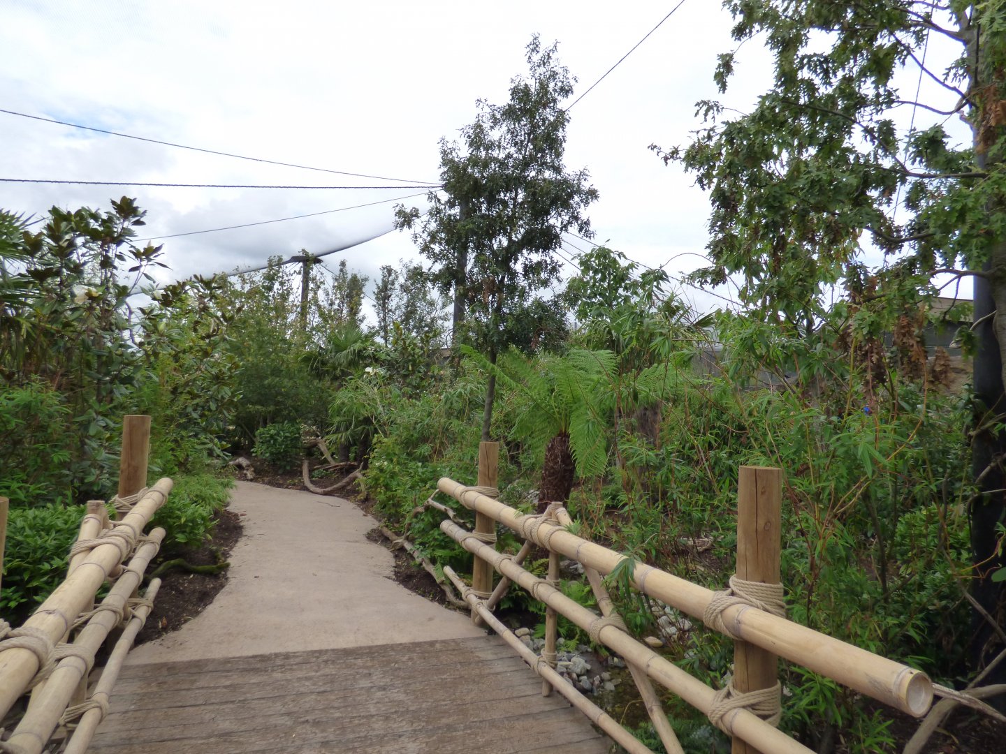 View of free-flight area