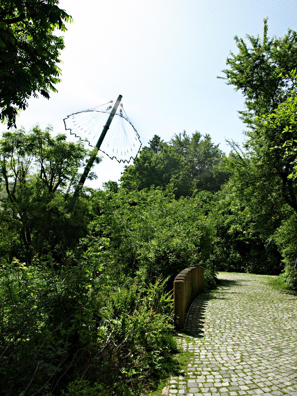 View of free-flight aviary