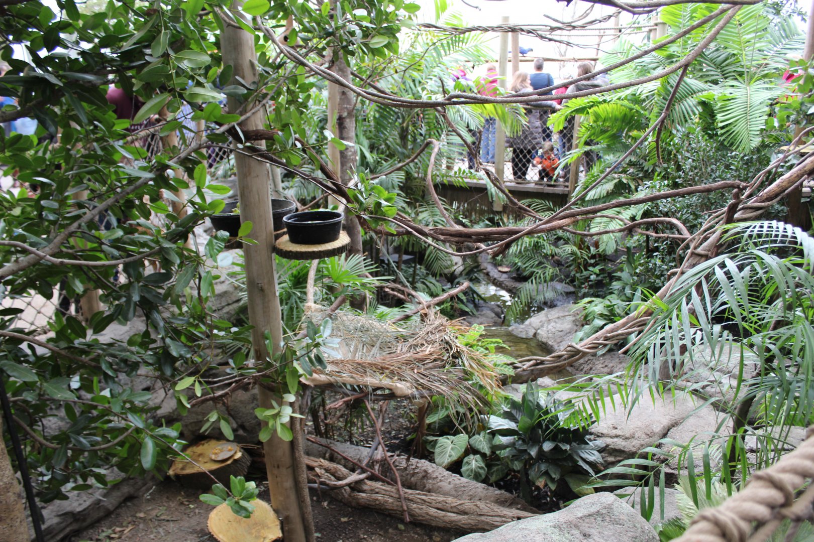 View of Free-Flight Aviary