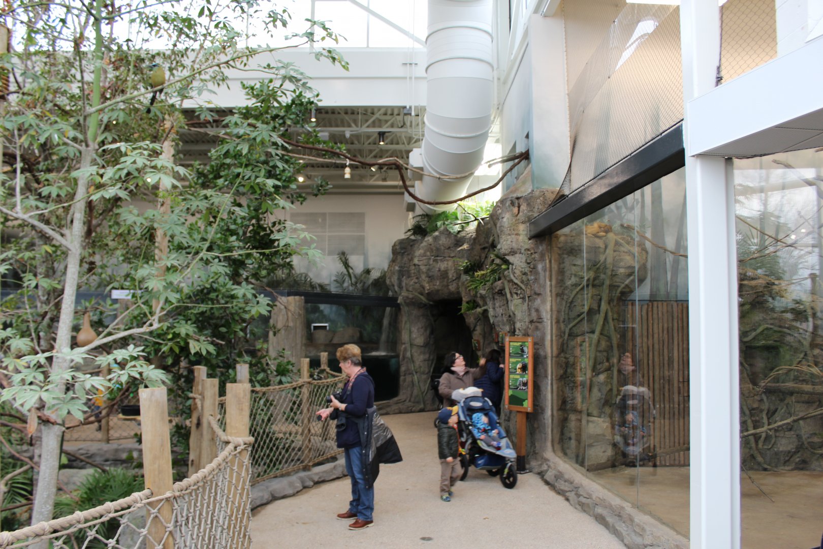 View of Free-Flight Aviary