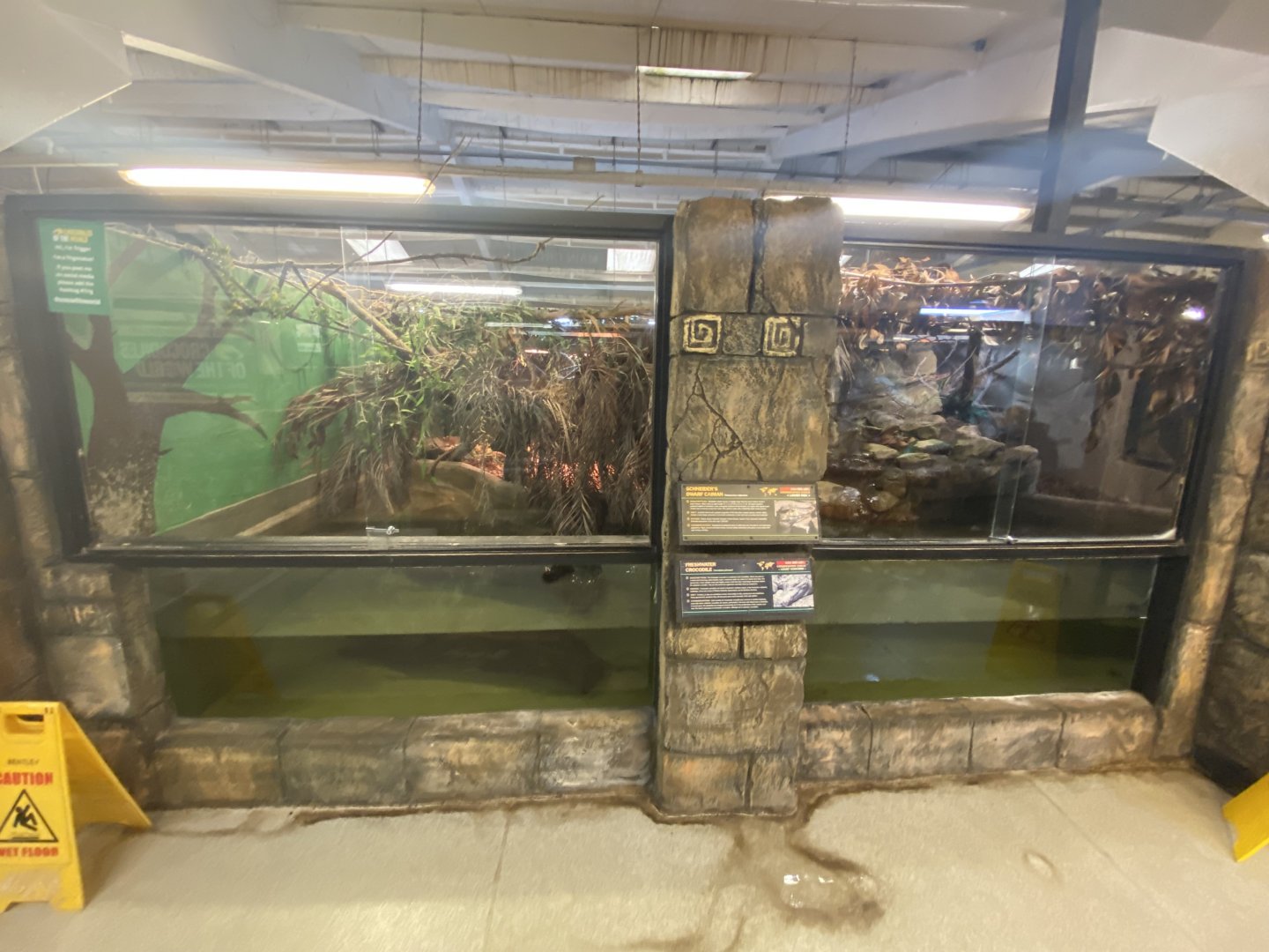 View of fresh water crocodile and Schneider’s dwarf caiman enclosures