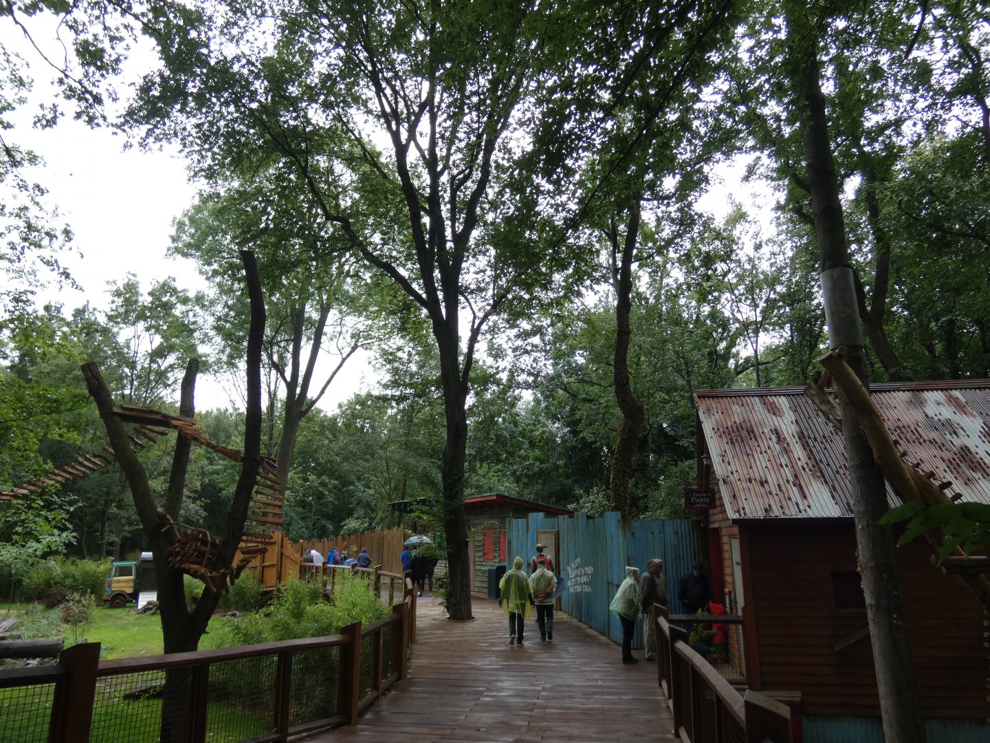 View of future connecting bridge for White-nosed Coati in new South America exhibit