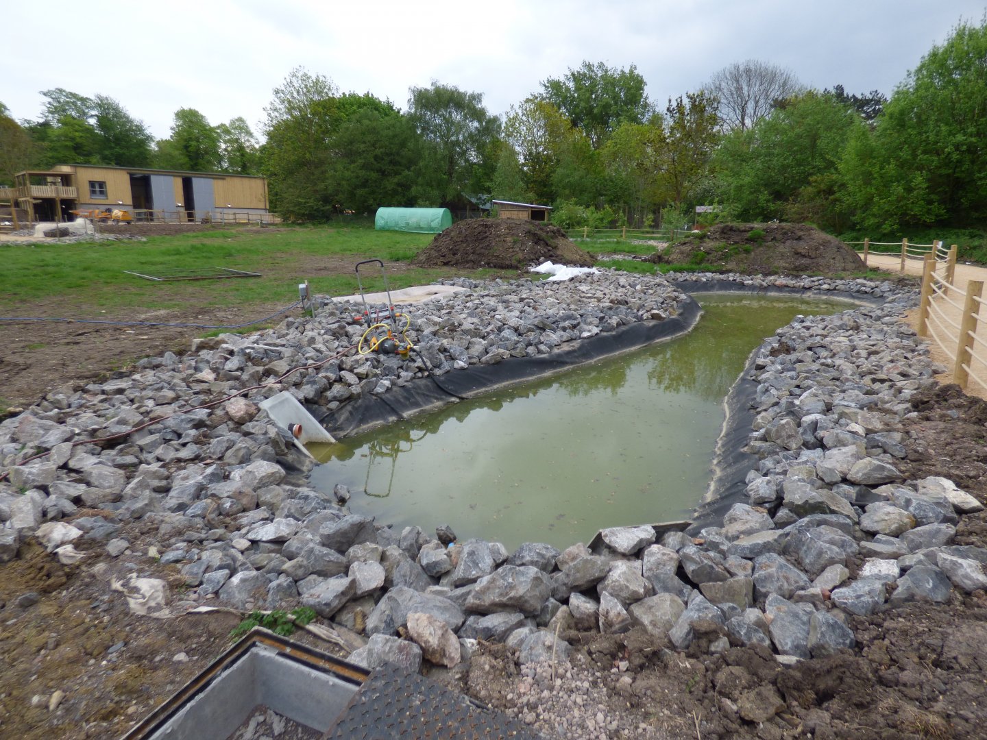 View of future Giraffe Viewing Area