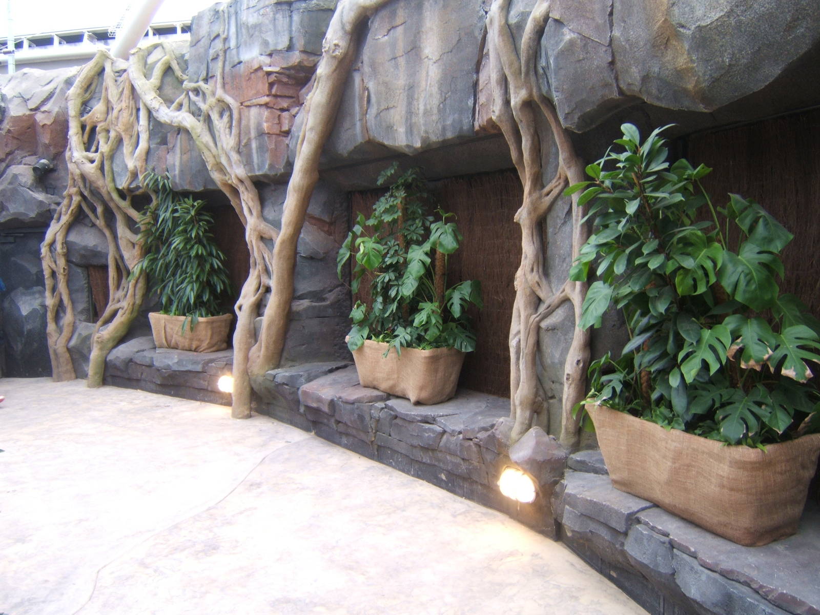 View of future Herp exhibits