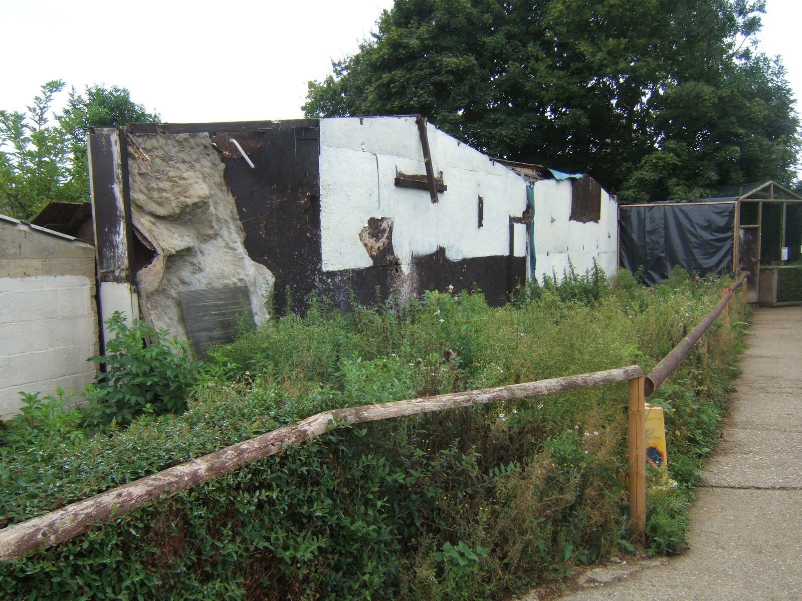 View of future project