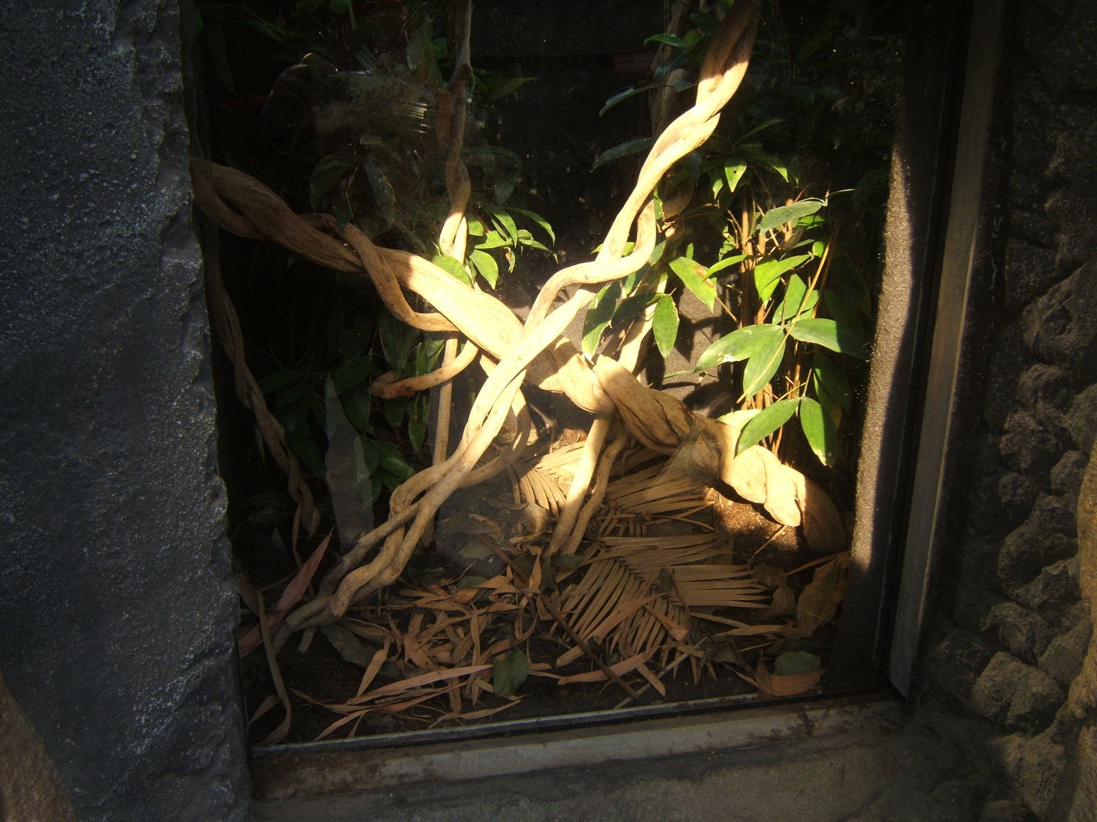 View of future Viper exhibit
