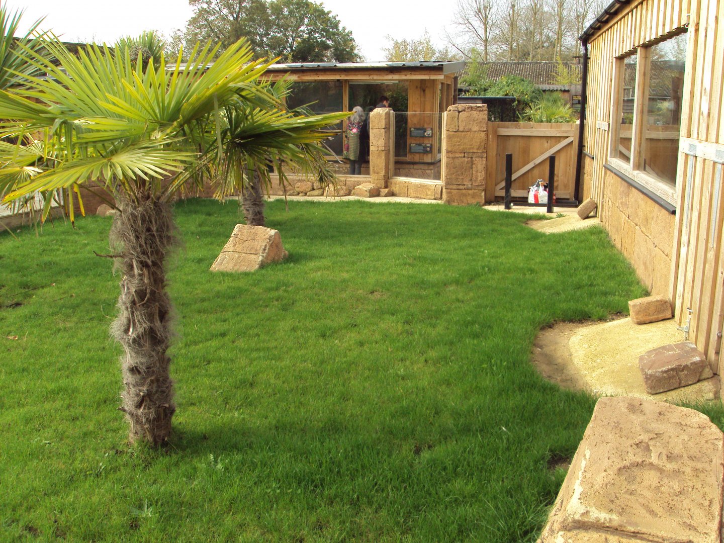 View of Galapagos Tortoise outside 31/10/2019