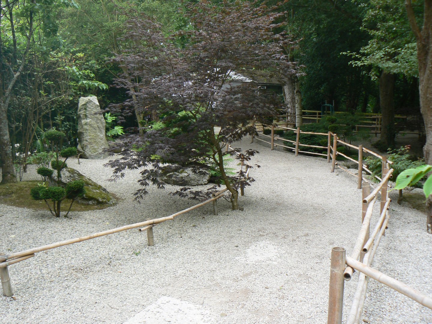 View of Garden - 11 July 2018