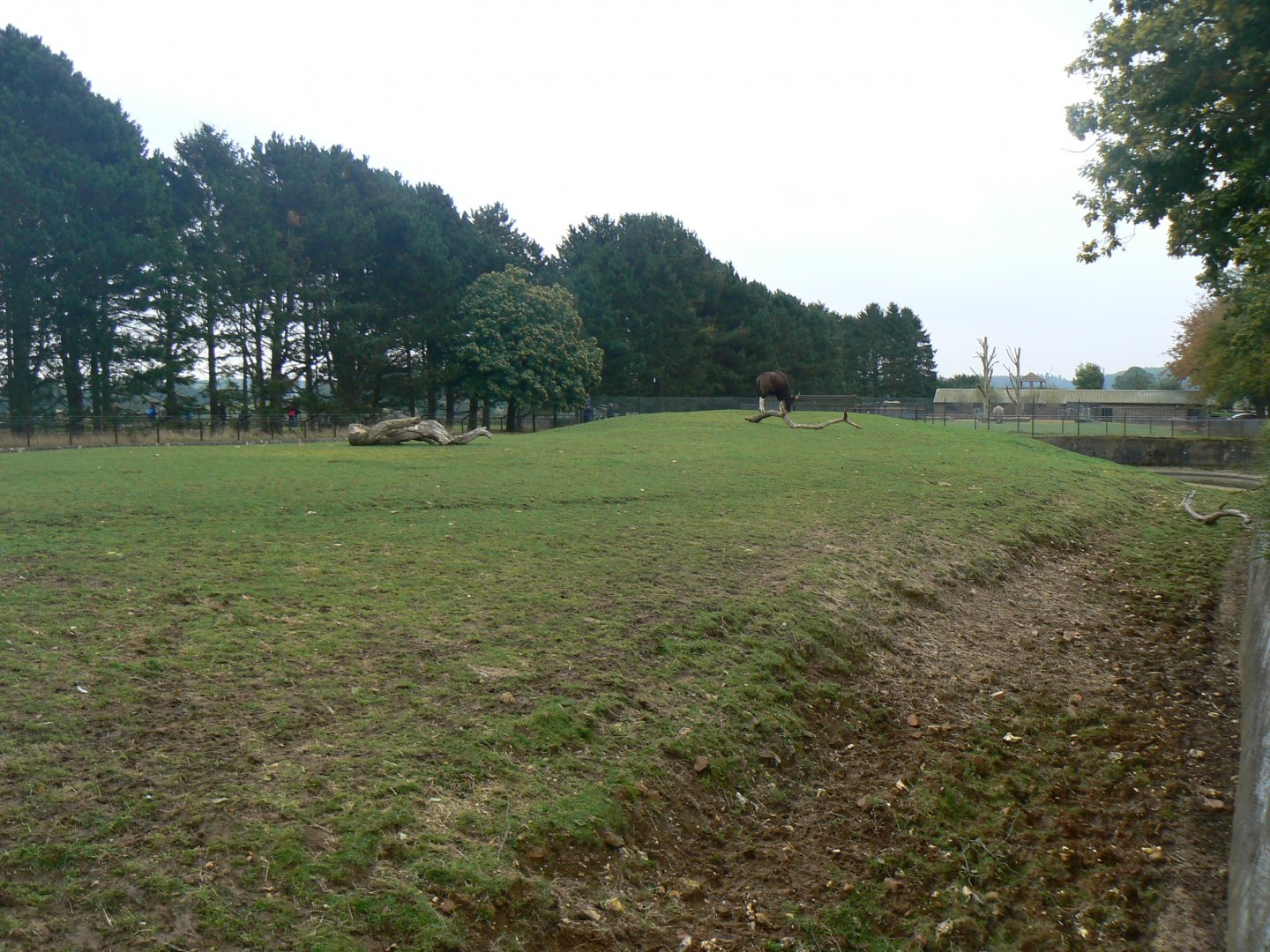 View of Gaur Paddock - 15 October 2016